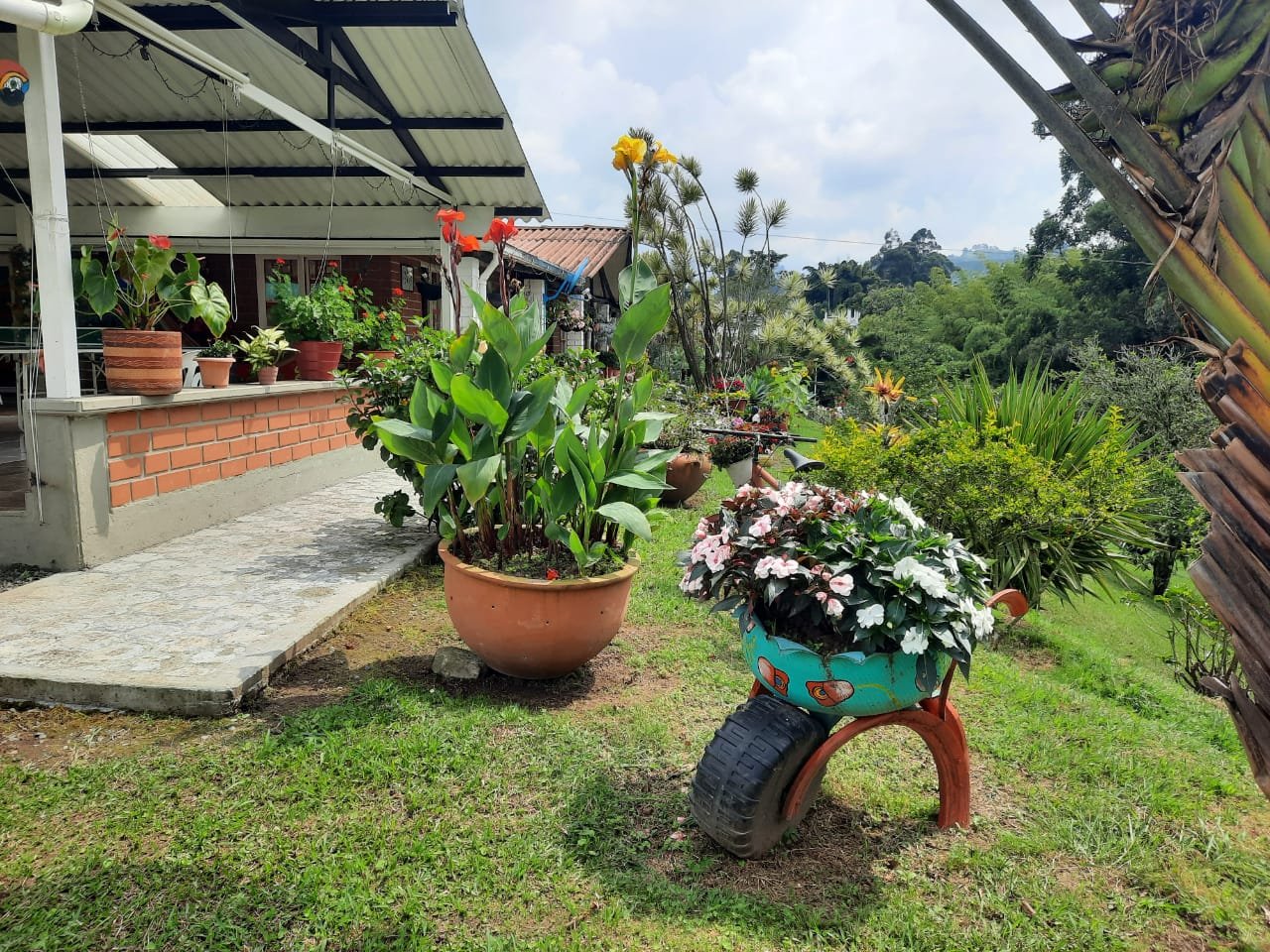 Jardín florido con vista a la montaña