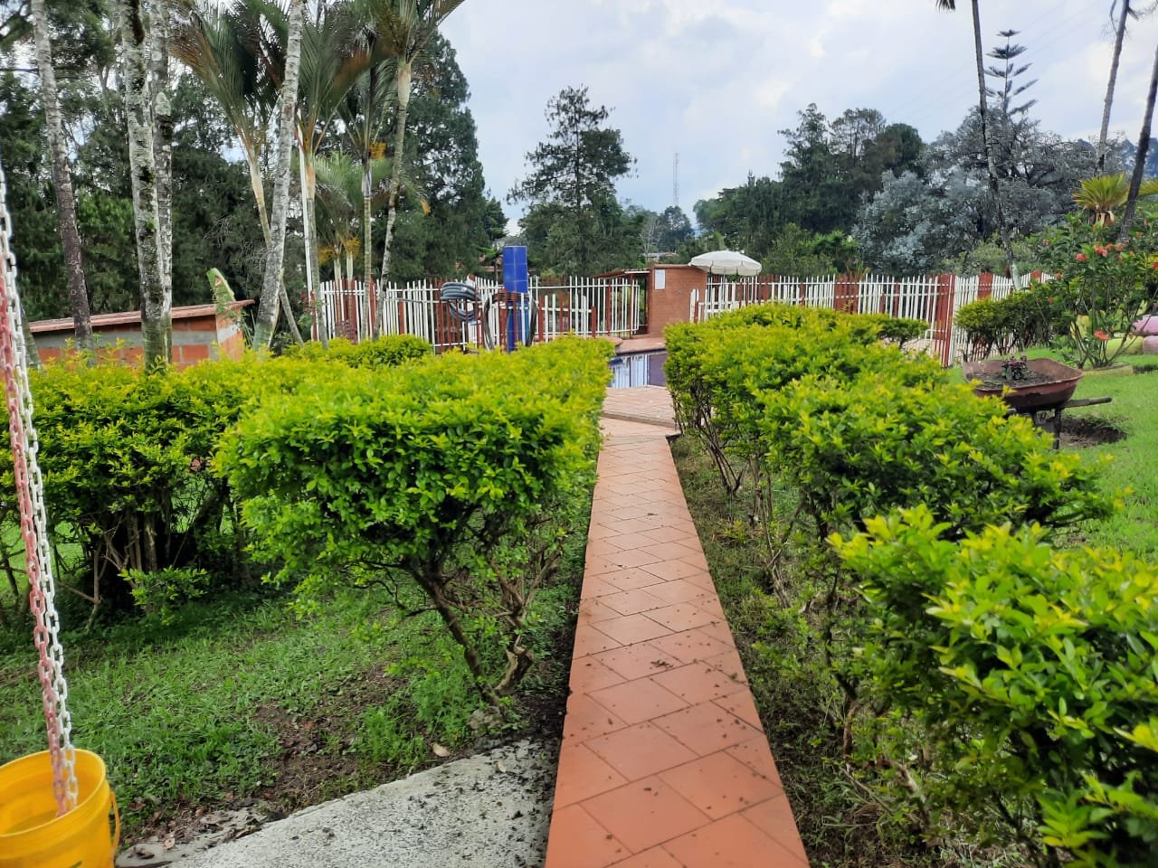 Senderos y jardines de la propiedad