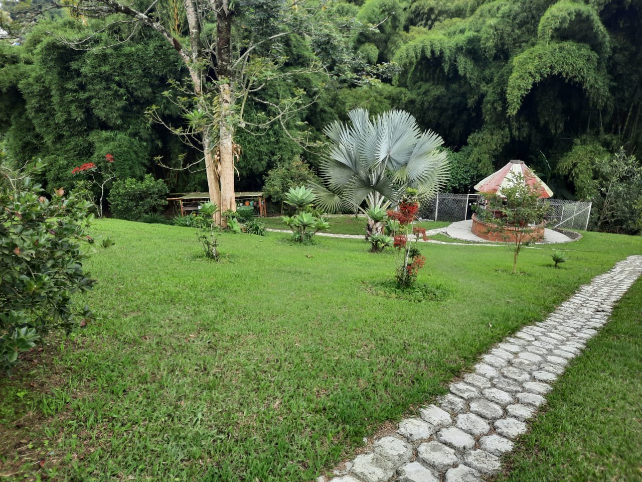 Jardines de La Querencia con vegetación del Eje Cafetero