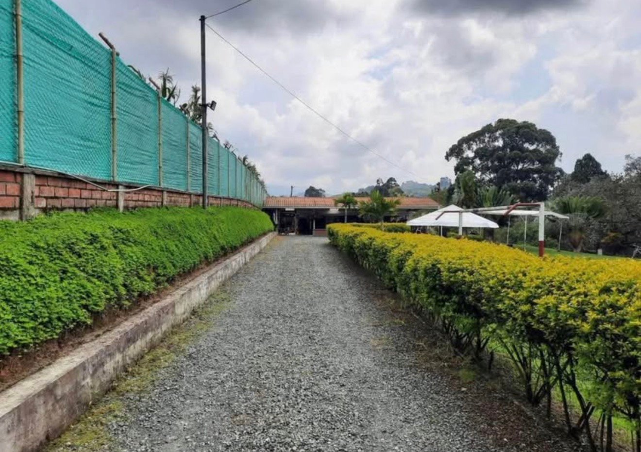 Entrada privada con setos y camino hacia la casa